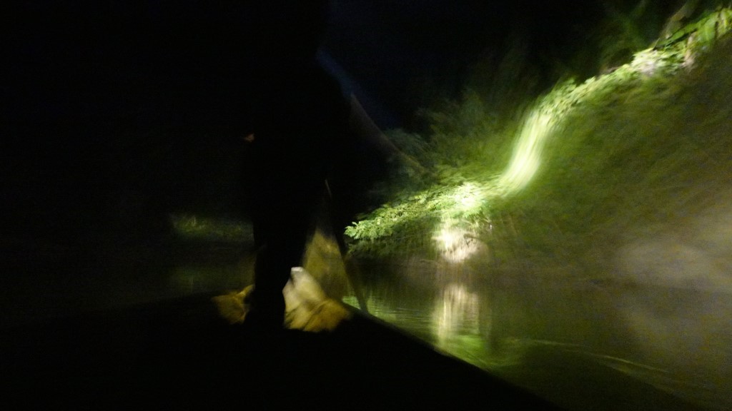 Nachtsafari